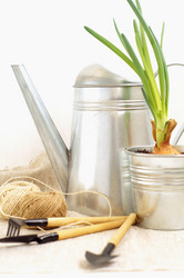 Similar image 6695321