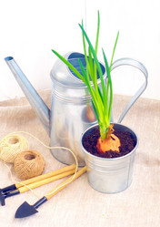 Similar image 6695337