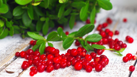 Similar image 6695359