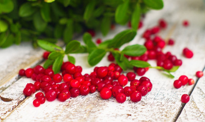 Similar image 6695361