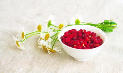 Similar image 6695365