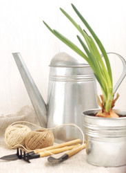 Similar image 6695368