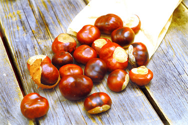 Similar image 6695402