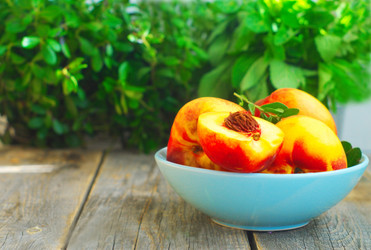 Similar image 6695408