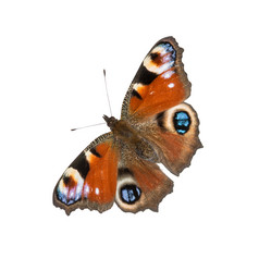 Similar image 6695441