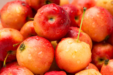 Similar image 6695445