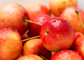 Similar image 6695457