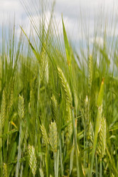 Similar image 6695477