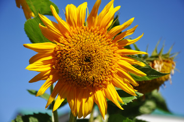 Similar image 6695551