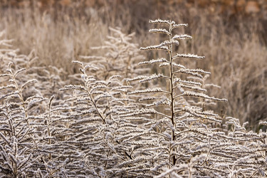 Similar image 6695714