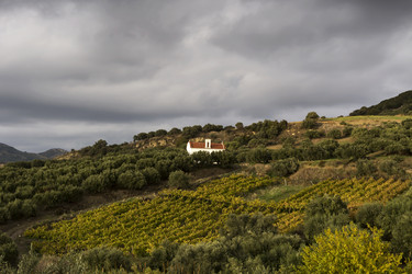 Similar image 6695734