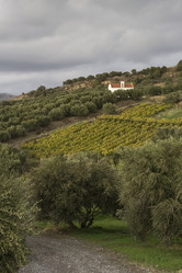 Similar image 6695737