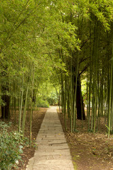 Similar image 6695769