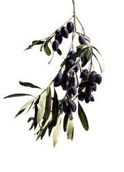 Similar image 6695832