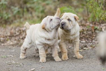 Similar image 6695868