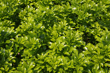 Similar image 6695893