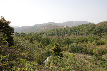 Similar image 6695900