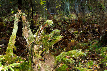 Similar image 6695904