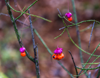 Similar image 6695905