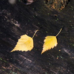 Similar image 6695908