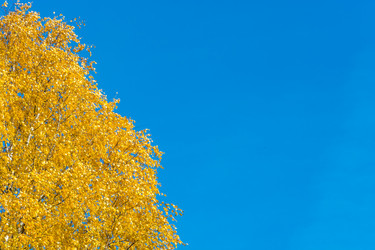 Similar image 6695909