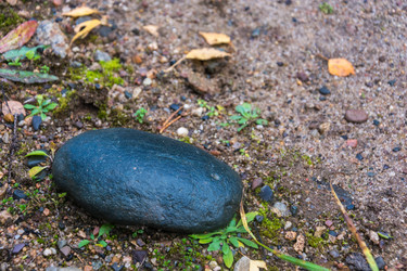 Similar image 6695912