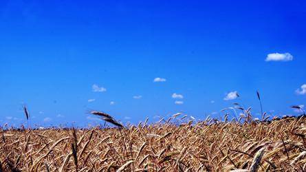 Similar image 6696001