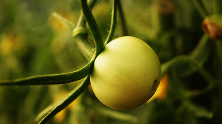 Similar image 6696002