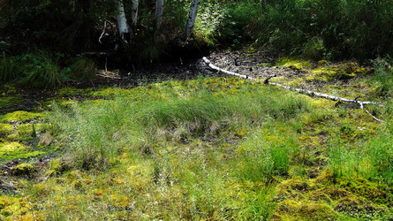 Similar image 6696004