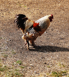 Similar image 6696013