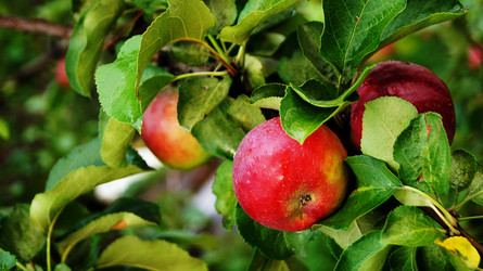 Similar image 6696017