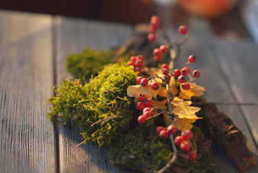 Similar image 6696026