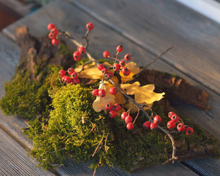 Similar image 6696027