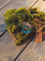 Similar image 6696028