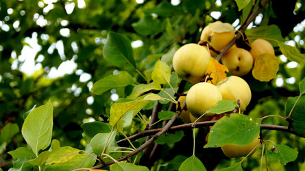 Similar image 6696031