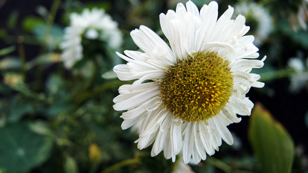 Similar image 6696042