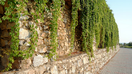 Similar image 6696043