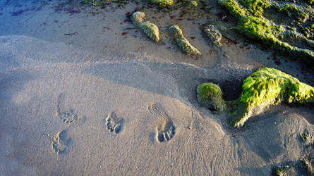 Similar image 6696053