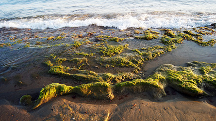 Similar image 6696054