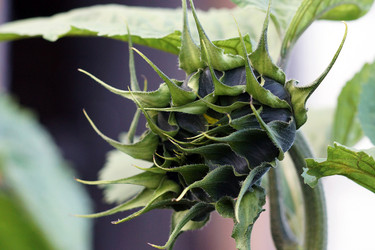 Similar image 6696364