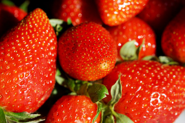 Similar image 6696366