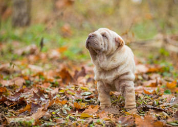 Similar image 6696372