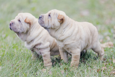 Similar image 6696375