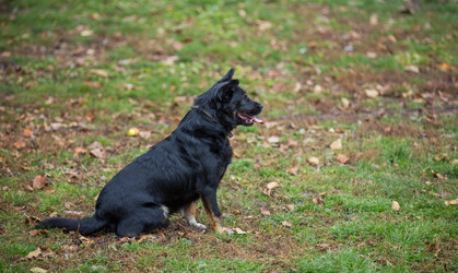 Similar image 6696378