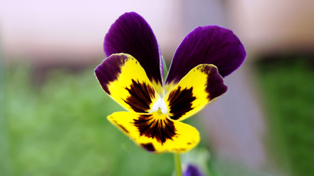 Similar image 6696393