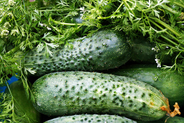 Similar image 6696395