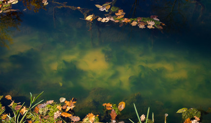 Similar image 6696584