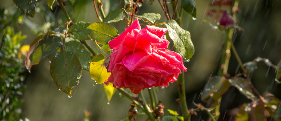 Similar image 6696588