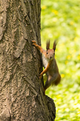 Similar image 6696592