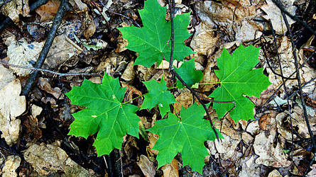 Similar image 6696649